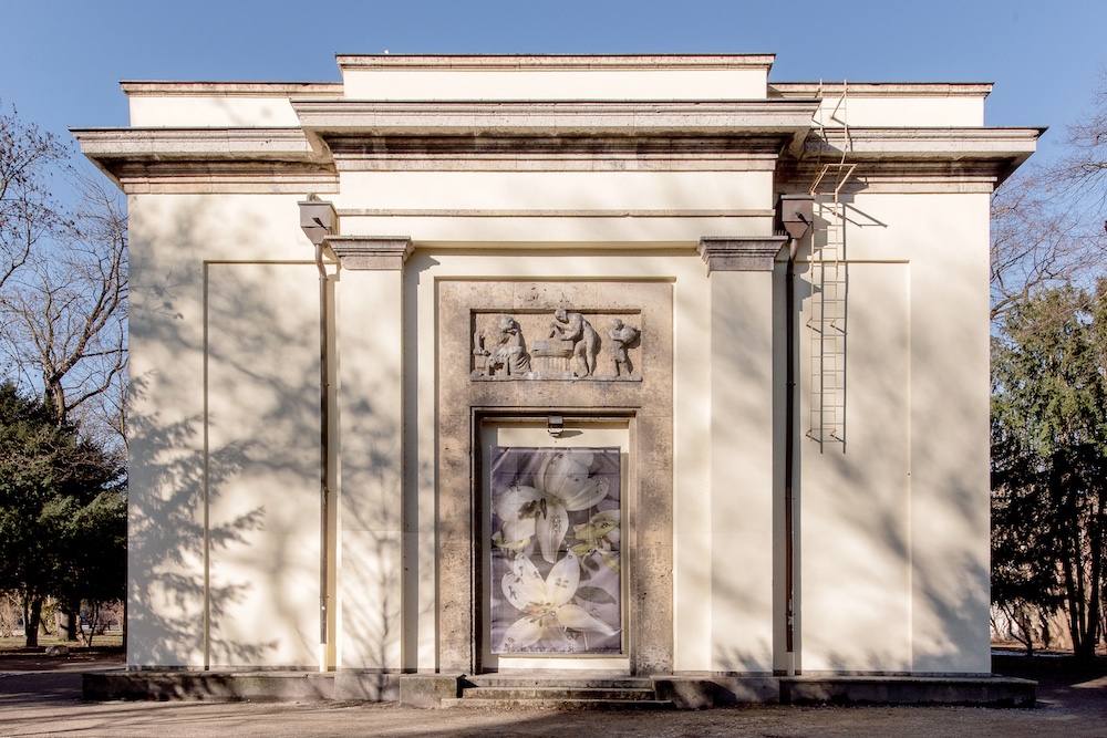 Klasse ehem. Kogler - jæja